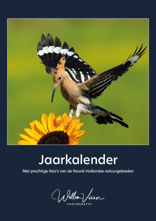 Jaarkalender